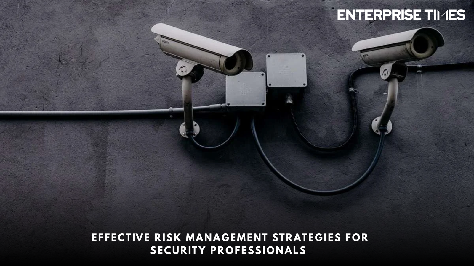 You are currently viewing Effective Risk Management Strategies for Security Professionals